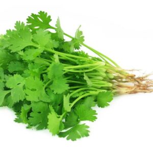 Coriander Seeds