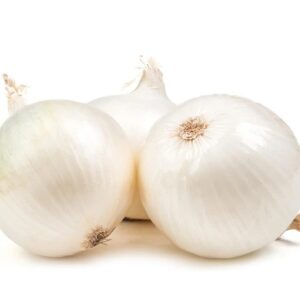 ONION WHITE SEEDS