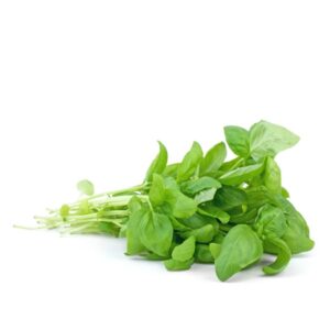 Great Basil Seeds