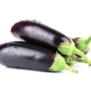Brinjal Long Seeds