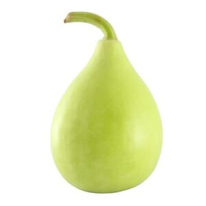 Bottle Gourd Seeds