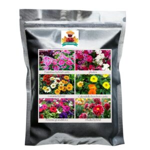 Hybrid Imported Flower Seeds Pack of 6 Variety | Dainthus | Phlox | Gazania | Calendula Bon Bon Variety | Petunia Grandiflora | Dahlia