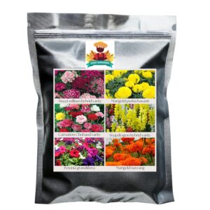 Flower Seeds Pack of 6 Variety | Hybrid & F1 Draft Varity imported Seeds| Sweet willium | Marigold Pusa basanti | Carnation | Snapdragon | Petunia | Marigold Navrang