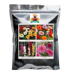 Flower Seeds Pack of 4 Variety | Hybrid & F1 Draft Variety Imported Seeds | Gazania Hybrid | Gerbera Mini | Hollyhock F1 Dwarf Variety | Dahlia