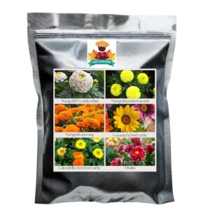 Hybrid imported Flower Seeds Pack of 6 Variety|Marigold F1 vanila white|Marigold Navrang |Gazania |Calendulla bon bon |Marigold pusha basanti |Dhalia