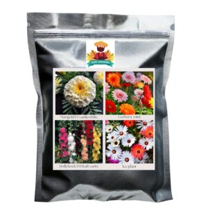 Flower Seeds Pack of 4 Variety | Hybrid & F1 Draft Variety Imported Seeds | Marigold F1 Vanilla White | Gerbera Mini | Hollyhock F1 Dwarf | Ice Plant
