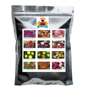 Flower Seeds Pack of 12 Variety | Hybrid & F1 Draft Varity imported Seeds |Petunia | Gerbera|Dainthus|Dahlia|Verbena|Carnation|Marigold|Calendula|Gazania| Cineraria|African Marigold|Phlox