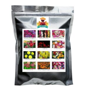 Flower Seeds Pack of 12 Variety | Hybrid & F1 Draft Varity imported Seeds |Petunia | Hollyhock|Daintus|Dahlia|California|Ice plant|Marigold|Antirrhinum|Gazania|Cineraria|Aster|African Marigold