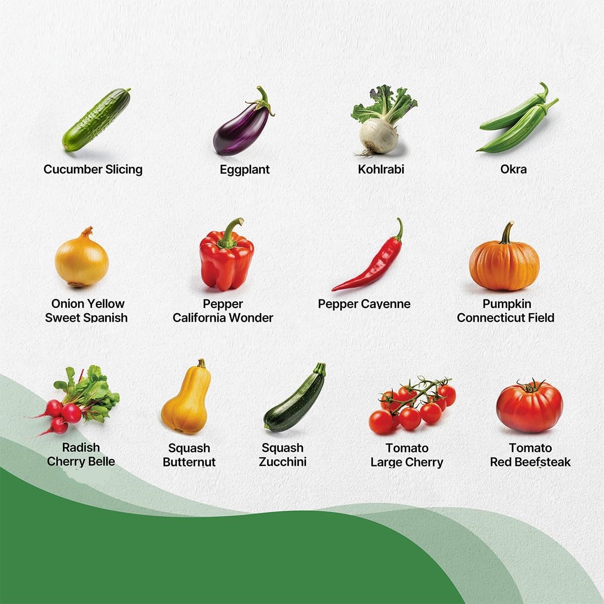25 Vegetable Seeds Variety Pack - 16,850+ Non-GMO Heirloom Seeds for Planting Vegetables and Fruits - Image 3
