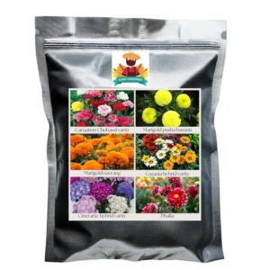 Hybrid imported Flower Seeds Pack of 6 Variety | Carnation Chubaud varity | Marigold Pusa basanti |Gazania |Marigold Navrang |Cineraria |Dhalia