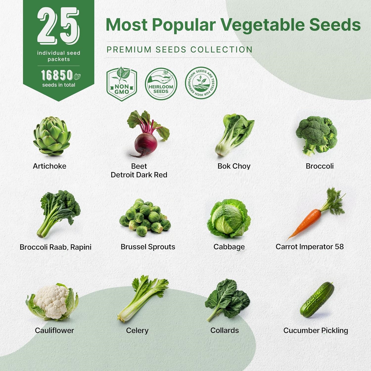 25 Vegetable Seeds Variety Pack - 16,850+ Non-GMO Heirloom Seeds for Planting Vegetables and Fruits - Image 2