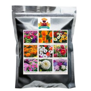 Flower Seeds Pack of 9 Variety | Hybrid & F1 Draft Varity imported Seeds |Petunia | California | Gazania | Marigold Navrang | Dhalia | Ice plant |Marigold F1 white |Dainthus| Cineraira