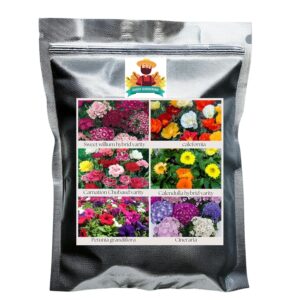 Flower Seeds Pack of 6 Variety Hybrid & F1 Draft Varity imported Seeds Sweet willium | California| Carnation | Calendulla | Petunia | Cineraria