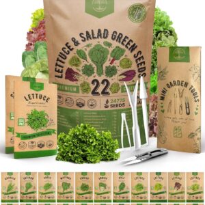 22 Lettuce & Salad Greens Seeds Variety Pack 1500+ Non-GMO Heirloom Lettuce Seeds - Arugula, Kale, Spinach, Swiss Chard, Lettuce